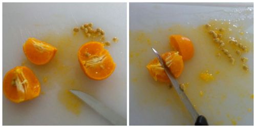 tagliare mandarini e eliminare semi 