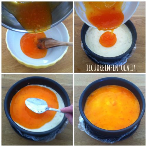 cheesecake-al-mandarino-aggiungere-gelatina