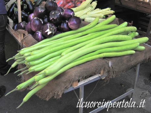 zucchina lunga siciliana