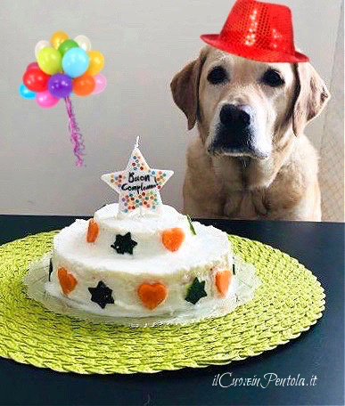 torta di compleanno per cani